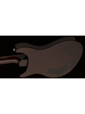 Paul's Guitar 10-Top (Black Gold Burst), зображення 7